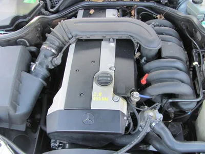 Двигатель М104 — Mercedes-Benz E-class (W210), 2,8 л, 1997 года | просто  так | DRIVE2
