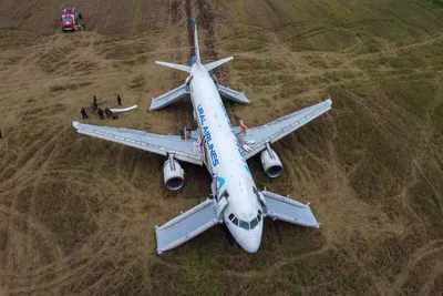 В аэропорту Иркутска аварийно сел самолет А-320 | Times News
