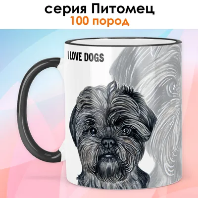Аффенпинчер - описание породы собак: характер, особенности поведения,  размер, отзывы и фото - Питомцы Mail.ru