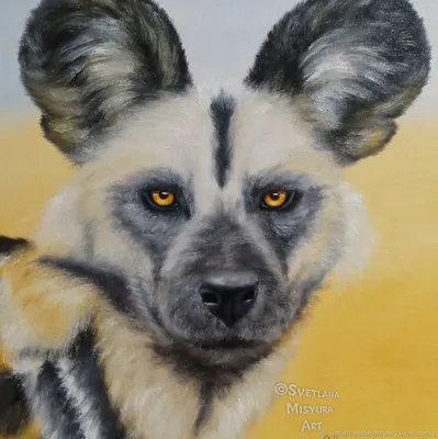 африканская собака одичалая Стоковое Изображение - изображение  насчитывающей напольно, трава: 5076651