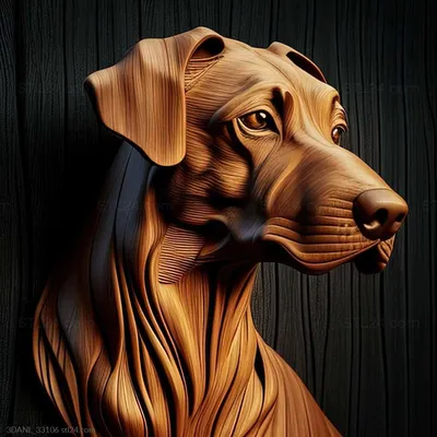 Природа и животные - Сент- африканская собака 2, NATURE_5358 | 3D модель  для ЧПУ станка
