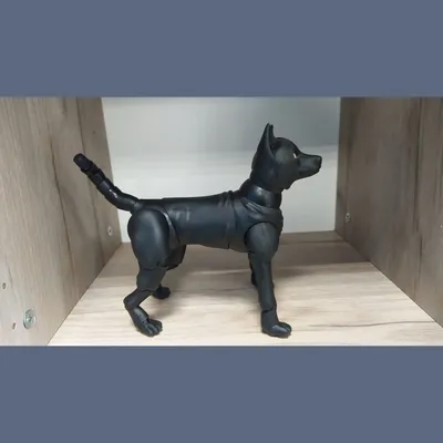 Черная собака Барни в дар, цена Бесплатно купить в Минске на Куфаре -  Объявление №214576082