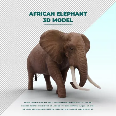Два разных слона: индийский крупнее и умнее» — создано в Шедевруме