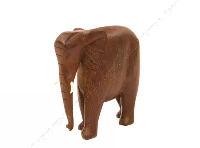 Индийский слон Африканский слон Wiki Loves Monuments Foundation Фонд  Викимедиа, газетная инфографика, инфографика, млекопитающее png | PNGEgg