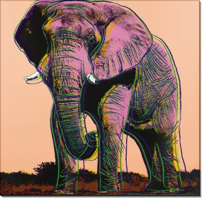 африканский слон выреза стоковое фото. изображение насчитывающей сторона -  25488960