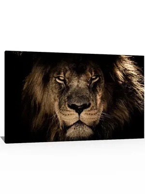 Купить фотообои Африканский лев (#7185) | заказать в каталоге интернет  магазина с ценой и фото