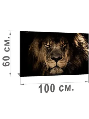 Картина на стекле Африканский лев 40х50 см купить недорого в  интернет-магазине товаров для декора Бауцентр