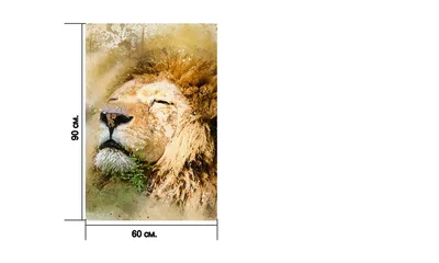 Африканский лев (пантера Leo) Стоковое Изображение - изображение  насчитывающей кошачий, фавн: 35146883
