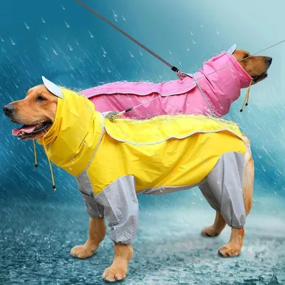 Купить Одежда для больших собак, плащ, водонепроницаемые костюмы для собак,  накидка от дождя, комбинезон для домашних животных для больших собак,  куртка с капюшоном, пончо, комбинезон от дождя для домашних животных 6XL |