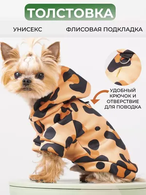 Одежда и аксессуары для собак ( РКС ) | Facebook