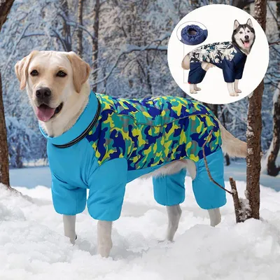 Брюки «Арни» Одежда для собак XS ᐉ купить в Днепре, Киеве, Украине ≡ Цена,  Отзывы || Сытая морда