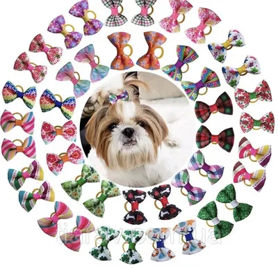 Резиночки для собак , аксессуары для животных (ID#1473201989), цена: 200 ₴,  купить на Prom.ua
