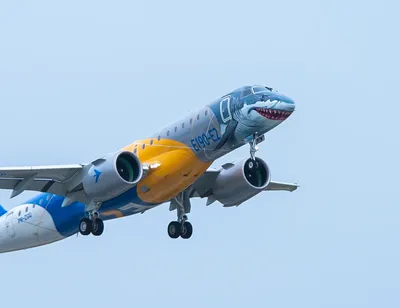 Самолет-акула и улыбчивые лайнеры: 12 самолетов с самыми шедевральными  рисунками