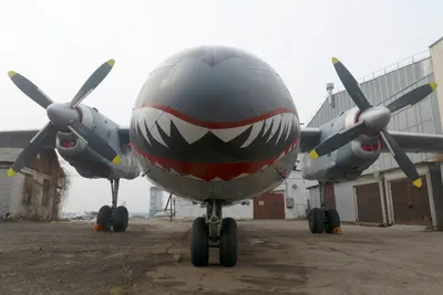 В Киев прибыл самолет-акула из боевика \"Неудержимые 3\": фото - новости Киева