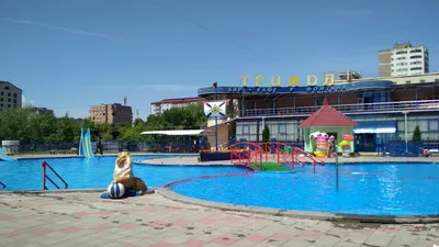 Аквапарк «Дельфин» открыл 15 сезон — Новости Шымкента