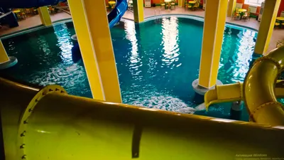 Аквапарк \"Дельфин\" Караганда on Instagram: \"Дорогие гости аквапарка «Дельфин»🐬  Приглашаем Вас провести свои выходные вместе с нами ! Ждём Вас каждый день  по адресу: 📍пр. Нурсултана Назарбаева 33/2 📱 8 700 421 48 11 🕓 10:00 до  23:00\"