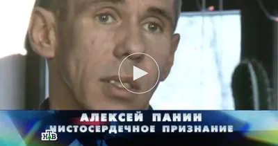 Pedigree объявила Алексея Панина амбассадором марки в России | Амброзия |  Дзен