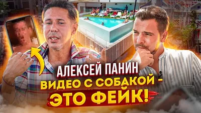 Скандалы Алексея Панина / Все новости и видео по теме // НТВ.Ru