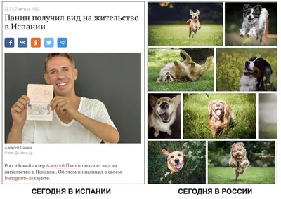 Алексей Панин, видео с собакой - это фейк. Интервью - YouTube