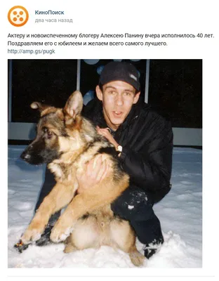 Насильник собак Панин женился - фото жены Алексея Панина - фото Тарлакян —  УНИАН