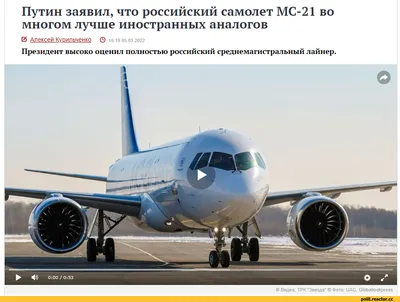 В России в полтора раза выросло число столкновений самолетов с птицами — РБК
