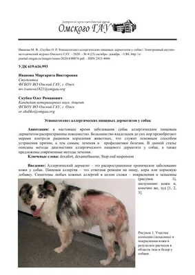 Как понять, что у собаки аллергия? - Питомцы Mail.ru