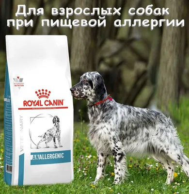 Royal Canin Hypoallergenic Small Dog корм для собак мелких пород при  аллергии или пищевой непереносимости