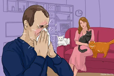 Аллергия у кошек | Ваши Питомцы