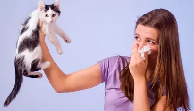 Как узнать, есть ли у ребенка аллергия на кошек