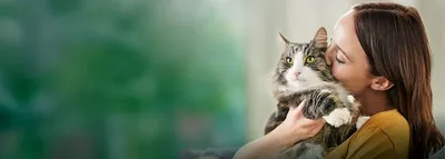 Аллергия на кошек, возможные симптомы, методы лечения