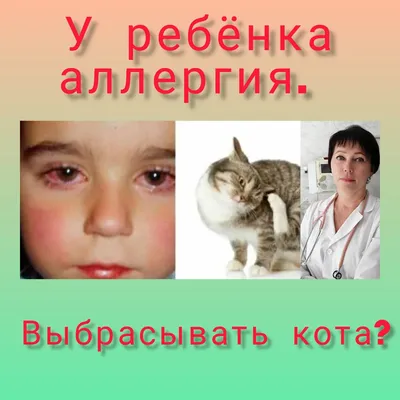 Аллергия на кота у ребенка фото 