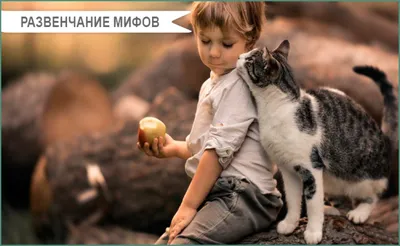 Лишай от кошки у ребенка - картинки и фото koshka.top