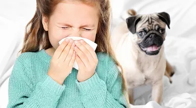 Ученые выяснили, как наличие питомца влияет на риск пищевой аллергии у  детей - Газета.Ru | Новости