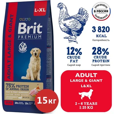 Сухой корм для собак Elato, курица, утка, 0,5кг - отзывы покупателей на  маркетплейсе Мегамаркет | Артикул товара:600006112636