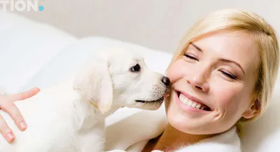 Названы основные симптомы аллергии у собак - Мослента