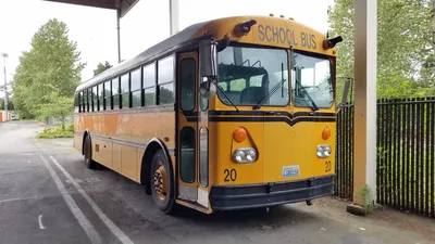 Почему в американских школьных автобусах дети не пристегиваются - ForumDaily