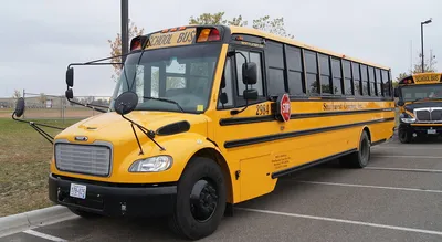 Насколько безопасны американские школьные автобусы. | That American Life |  Дзен
