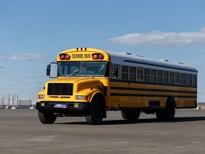 Заброшенный американский школьный автобус | Пикабу