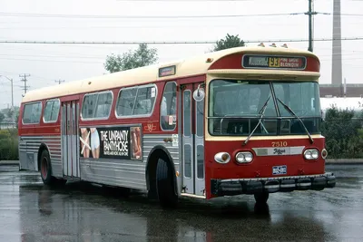 Городские автобусы в США: начало пути — Авторевю