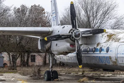 Авиакомпании предупредили о риске остановки полетов на Ан-24 и Ан-26 — РБК