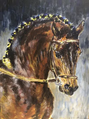 Андалузская лошадь выполняя прогулку испанского языка Стоковое Фото -  изображение насчитывающей ангстрома, упв: 129936744