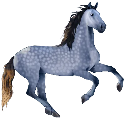 Андалузская лошадь» — создано в Шедевруме