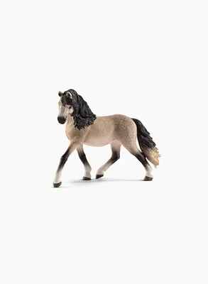 Андалузская Лошадь Trotting — стоковые фотографии и другие картинки Андалузская  лошадь - Андалузская лошадь, Без людей, Белый - iStock