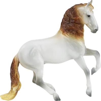 Серая Породистая Андалузская Лошадь Бежит Поле Поздней Осенью Животное  Движении стоковое фото ©Aurency 328441852