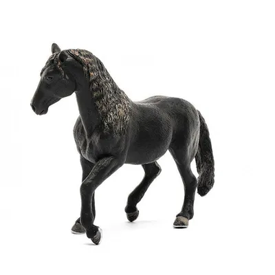 Одна из самых красивых пород лошадей, 5 часть. Андалузская лошадь. | Eq.  Manyano | Дзен