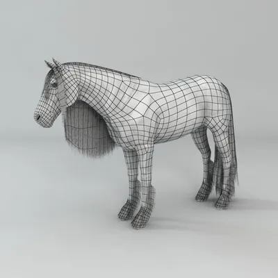 Андалузская лошадь выполняя прогулку испанского языка Стоковое Изображение  - изображение насчитывающей испанско, прогулка: 129936719