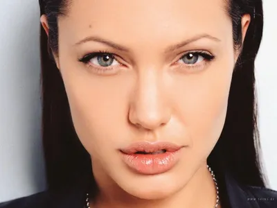 Анджелина Джоли: Новые изображения для вашего экрана