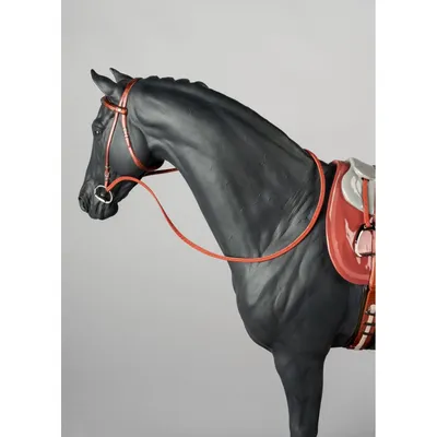 Английская чистокровная лошадь. (Суетина М.Ю.) Бруно интернет магазин Бруно