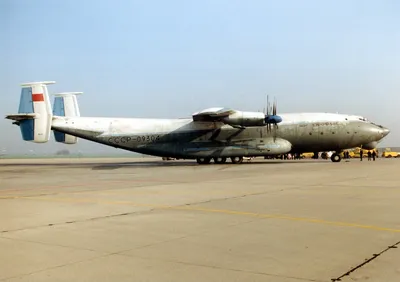 Под Тверью прошли полеты самого большого в мире турбовинтового самолета  Ан-22 «Антей» | AviaPressPhoto