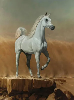 Арабская верховая лошадь
